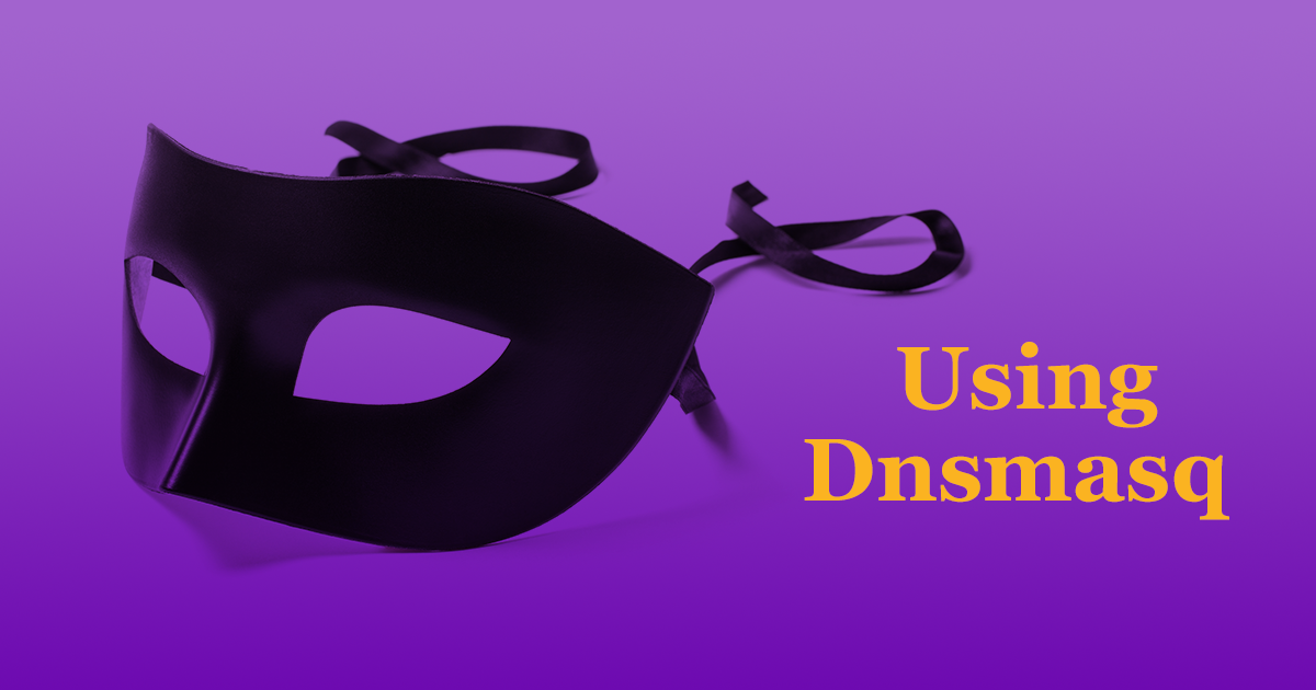 WSL2 中使用 DNSmasq